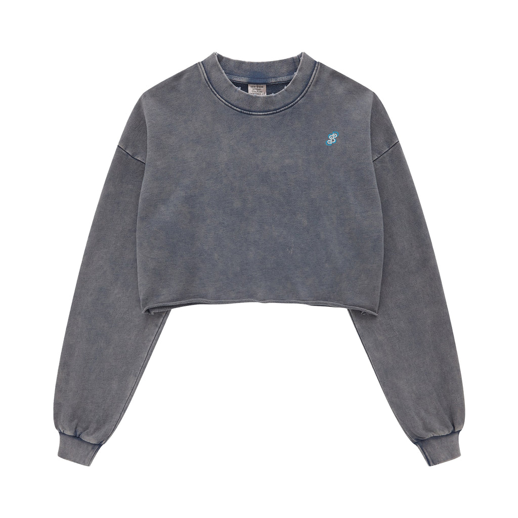DSP-LUX Signature Crop Hoodie – Charcoal Fade