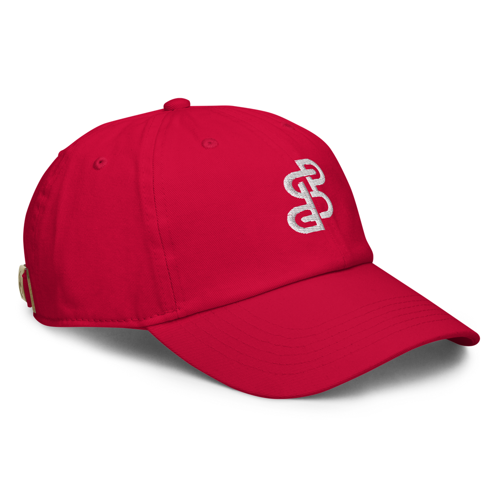 DSP Signature Cap – Premium Cotton Red Cap with Embroidered Logo